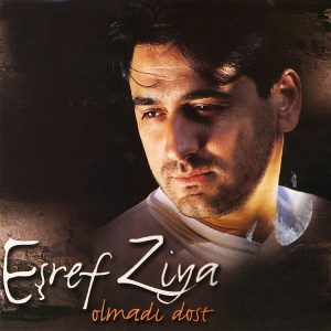 Olmadı Dost (2000)