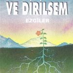 Metin Yüksel
